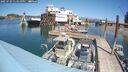 ./images/quadra/hbidock/20250729/hbidock20250729_134010M.jpg