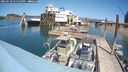 ./images/quadra/hbidock/20250729/hbidock20250729_135010M.jpg