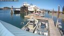 ./images/quadra/hbidock/20250729/hbidock20250729_152510M.jpg