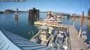 ./images/quadra/hbidock/20250729/hbidock20250729_170011M.jpg