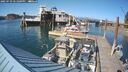 ./images/quadra/hbidock/20250729/hbidock20250729_171000M.jpg