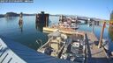 ./images/quadra/hbidock/20250729/hbidock20250729_190500M.jpg