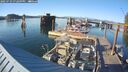 ./images/quadra/hbidock/20250729/hbidock20250729_192009M.jpg