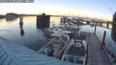 ./images/quadra/hbidock/20250729/hbidock20250729_203507M.jpg