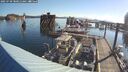 ./images/quadra/hbidock/20250730/hbidock20250730_080012M.jpg