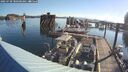 ./images/quadra/hbidock/20250730/hbidock20250730_080500M.jpg