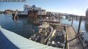 ./images/quadra/hbidock/20250730/hbidock20250730_081011M.jpg