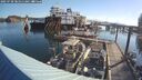 ./images/quadra/hbidock/20250730/hbidock20250730_081511M.jpg