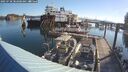 ./images/quadra/hbidock/20250730/hbidock20250730_082000M.jpg
