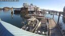 ./images/quadra/hbidock/20250730/hbidock20250730_082500M.jpg