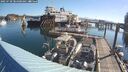 ./images/quadra/hbidock/20250730/hbidock20250730_084000M.jpg