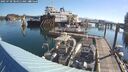 ./images/quadra/hbidock/20250730/hbidock20250730_084011M.jpg