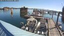 ./images/quadra/hbidock/20250730/hbidock20250730_090000M.jpg