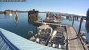./images/quadra/hbidock/20250730/hbidock20250730_091000M.jpg