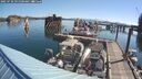 ./images/quadra/hbidock/20250730/hbidock20250730_091500M.jpg