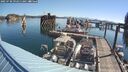 ./images/quadra/hbidock/20250730/hbidock20250730_092011M.jpg