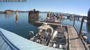 ./images/quadra/hbidock/20250730/hbidock20250730_093000M.jpg
