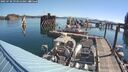 ./images/quadra/hbidock/20250730/hbidock20250730_093012M.jpg