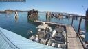 ./images/quadra/hbidock/20250730/hbidock20250730_104010M.jpg