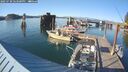 ./images/quadra/hbidock/20250730/hbidock20250730_183500M.jpg