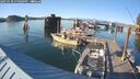 ./images/quadra/hbidock/20250730/hbidock20250730_190000M.jpg