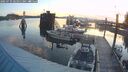 ./images/quadra/hbidock/20250731/hbidock20250731_061010M.jpg