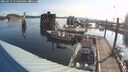 ./images/quadra/hbidock/20250731/hbidock20250731_074508M.jpg