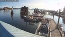 ./images/quadra/hbidock/20250731/hbidock20250731_075011M.jpg