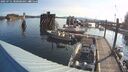 ./images/quadra/hbidock/20250731/hbidock20250731_080000M.jpg