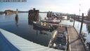 ./images/quadra/hbidock/20250731/hbidock20250731_080510M.jpg