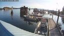 ./images/quadra/hbidock/20250731/hbidock20250731_081010M.jpg