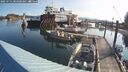 ./images/quadra/hbidock/20250731/hbidock20250731_083500M.jpg