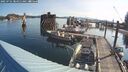 ./images/quadra/hbidock/20250731/hbidock20250731_084011M.jpg