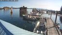 ./images/quadra/hbidock/20250731/hbidock20250731_090011M.jpg