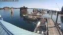 ./images/quadra/hbidock/20250731/hbidock20250731_093500M.jpg