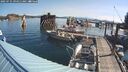 ./images/quadra/hbidock/20250731/hbidock20250731_094011M.jpg
