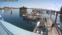 ./images/quadra/hbidock/20250731/hbidock20250731_100012M.jpg