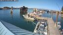 ./images/quadra/hbidock/20250731/hbidock20250731_164011M.jpg