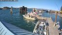 ./images/quadra/hbidock/20250731/hbidock20250731_172511M.jpg
