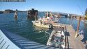 ./images/quadra/hbidock/20250731/hbidock20250731_174500M.jpg