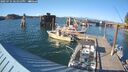 ./images/quadra/hbidock/20250731/hbidock20250731_181011M.jpg
