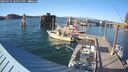 ./images/quadra/hbidock/20250731/hbidock20250731_183010M.jpg