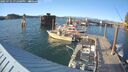 ./images/quadra/hbidock/20250731/hbidock20250731_191509M.jpg