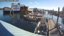 ./images/quadra/hbidock/20250801/hbidock20250801_080510M.jpg