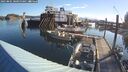 ./images/quadra/hbidock/20250801/hbidock20250801_081000M.jpg