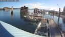 ./images/quadra/hbidock/20250801/hbidock20250801_083000M.jpg
