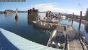 ./images/quadra/hbidock/20250801/hbidock20250801_083500M.jpg