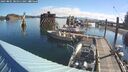 ./images/quadra/hbidock/20250801/hbidock20250801_085011M.jpg
