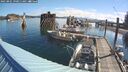 ./images/quadra/hbidock/20250801/hbidock20250801_090011M.jpg