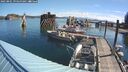 ./images/quadra/hbidock/20250801/hbidock20250801_093500M.jpg